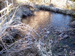 zugefrorener Teich