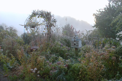 Garten im Raureifkleid