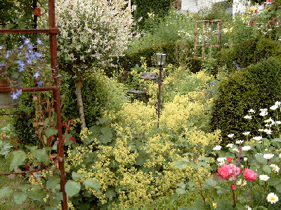 Sommer im Senkgarten