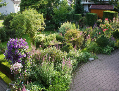 Gartenimpressionen 2008